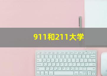 911和211大学