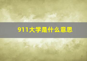 911大学是什么意思