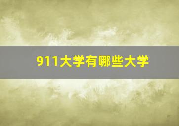 911大学有哪些大学