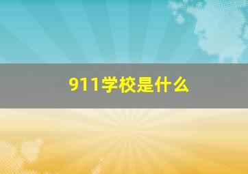 911学校是什么