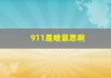 911是啥意思啊