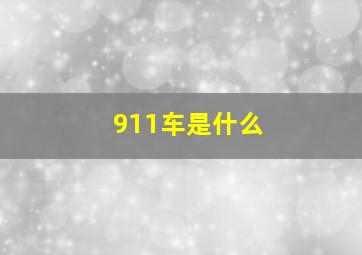 911车是什么