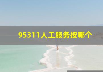 95311人工服务按哪个