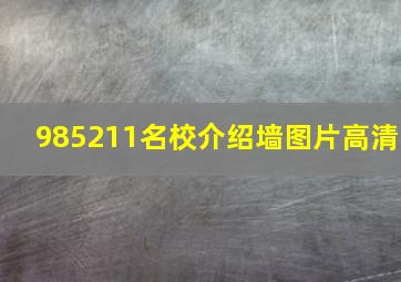 985211名校介绍墙图片高清