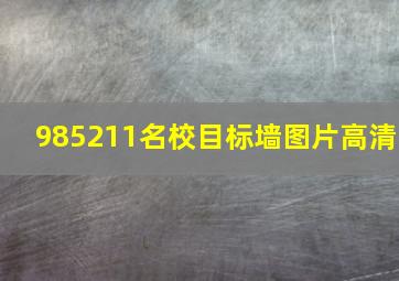 985211名校目标墙图片高清