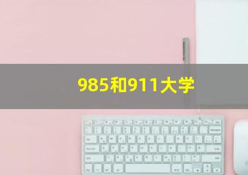 985和911大学