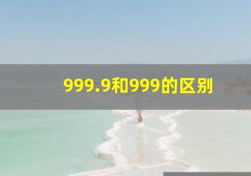 999.9和999的区别