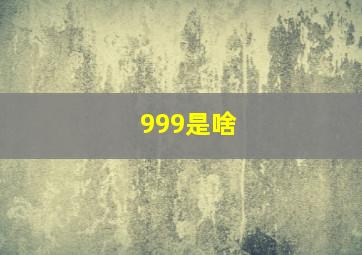 999是啥