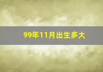 99年11月出生多大