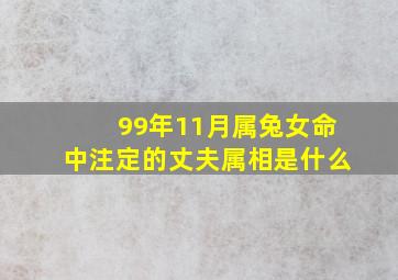 99年11月属兔女命中注定的丈夫属相是什么