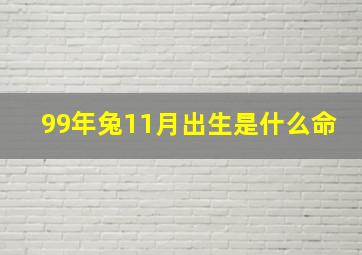 99年兔11月出生是什么命