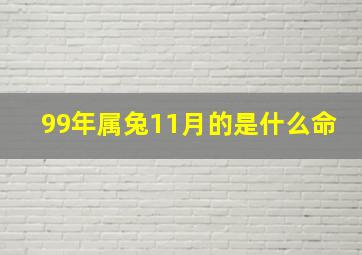 99年属兔11月的是什么命