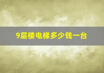 9层楼电梯多少钱一台