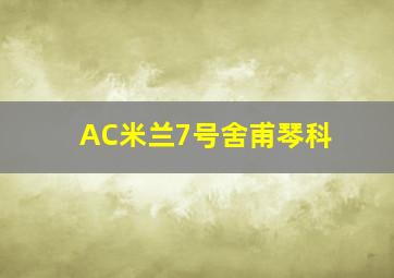 AC米兰7号舍甫琴科