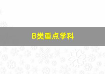 B类重点学科