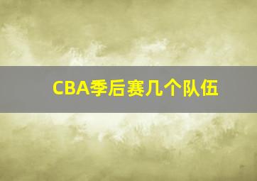 CBA季后赛几个队伍