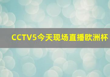 CCTV5今天现场直播欧洲杯