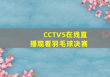 CCTV5在线直播观看羽毛球决赛