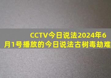 CCTV今日说法2024年6月1号播放的今日说法古树毒劫难