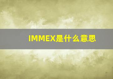 IMMEX是什么意思