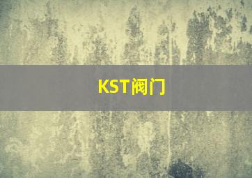 KST阀门