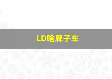 LD啥牌子车