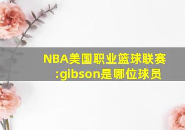 NBA美国职业篮球联赛:gibson是哪位球员