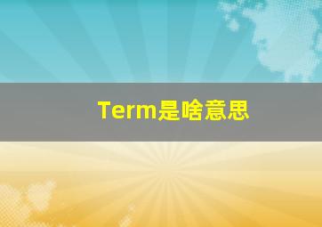 Term是啥意思