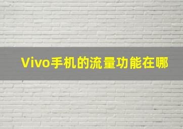 Vivo手机的流量功能在哪