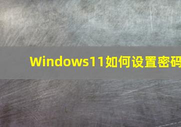 Windows11如何设置密码