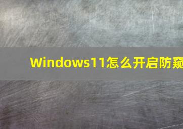 Windows11怎么开启防窥