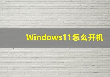 Windows11怎么开机