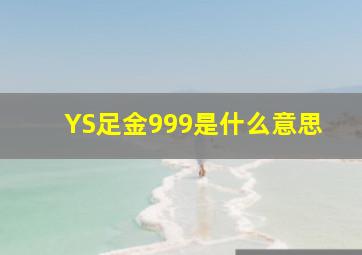 YS足金999是什么意思