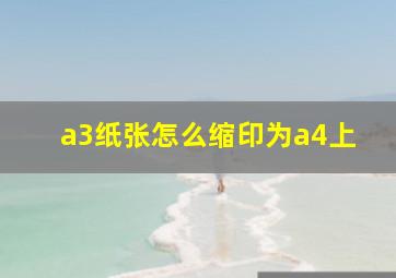 a3纸张怎么缩印为a4上