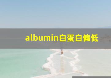 albumin白蛋白偏低