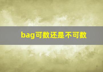 bag可数还是不可数