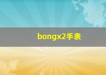 bongx2手表