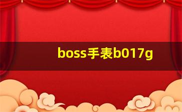 boss手表b017g