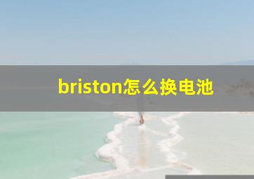 briston怎么换电池