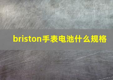 briston手表电池什么规格