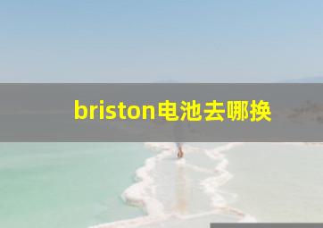 briston电池去哪换