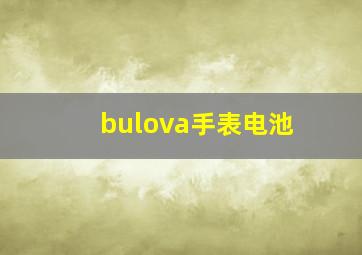 bulova手表电池