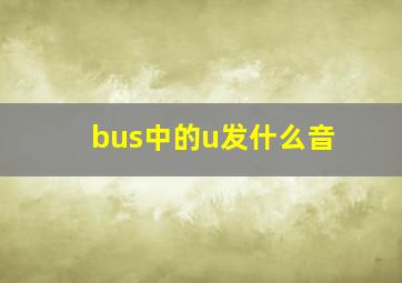 bus中的u发什么音