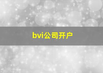 bvi公司开户