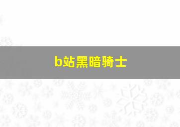 b站黑暗骑士