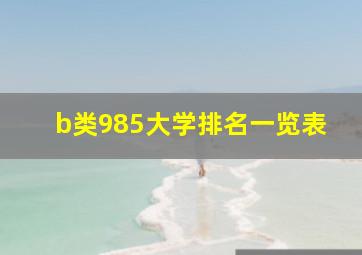 b类985大学排名一览表