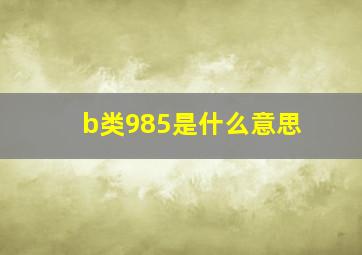 b类985是什么意思