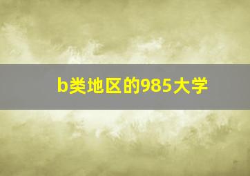 b类地区的985大学