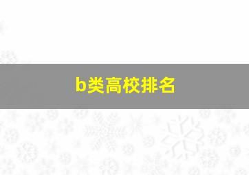 b类高校排名