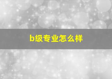 b级专业怎么样